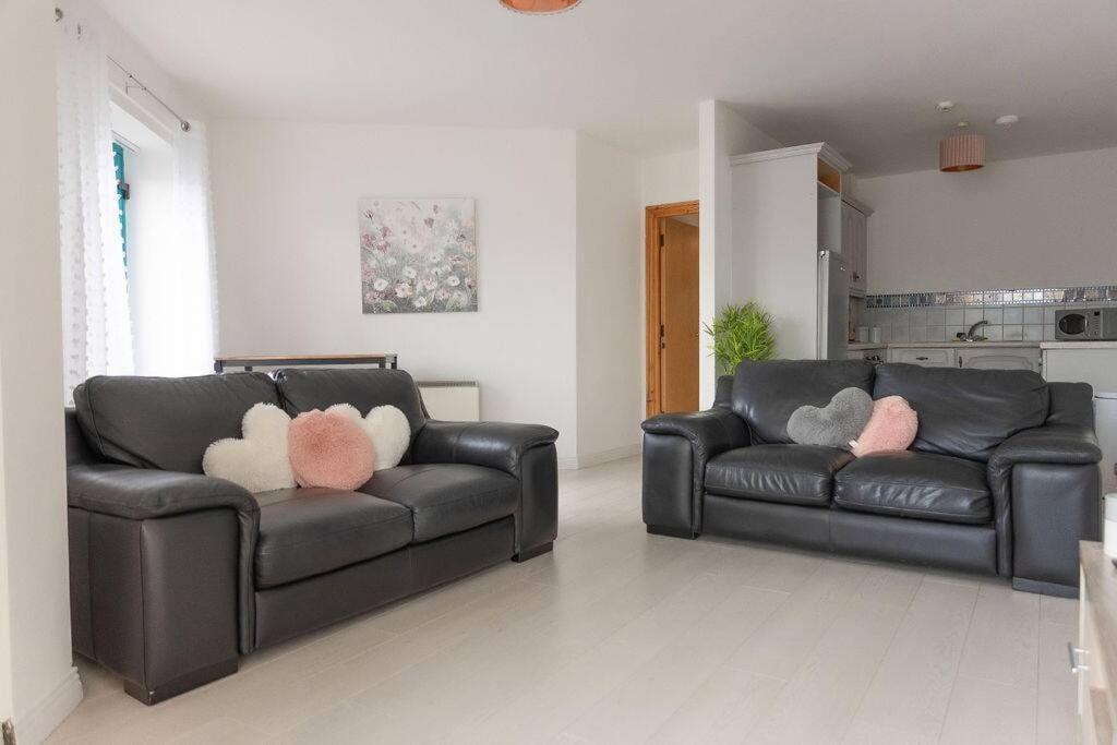 City Centre Riverview Apartment لندنديري المظهر الخارجي الصورة