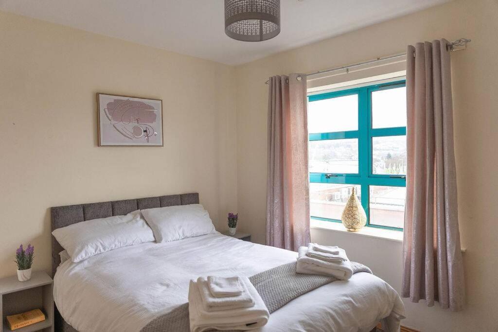 City Centre Riverview Apartment لندنديري المظهر الخارجي الصورة